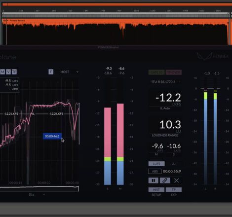 Screenshot of FENNEK metering plugin