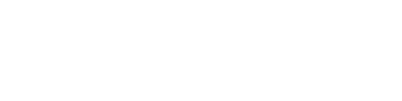 FENNEK logo